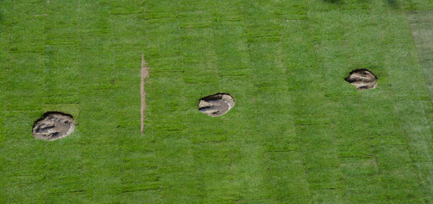 Megalosaurus footprints