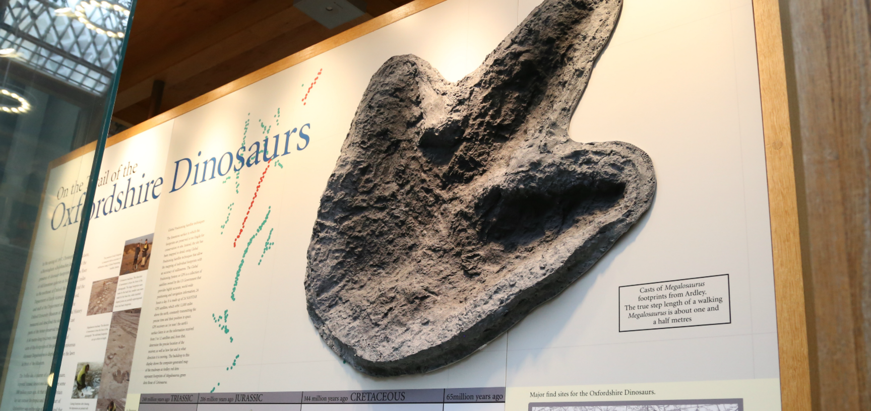 Trackway dinosaur