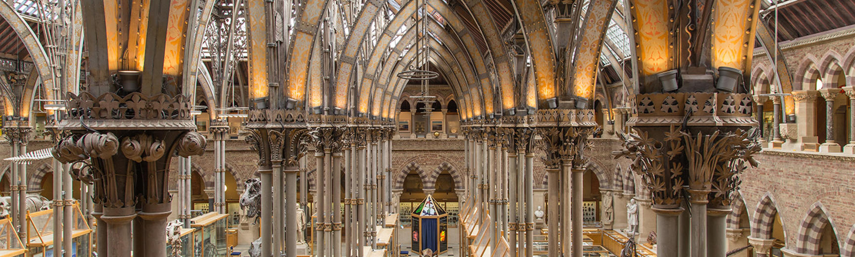Oxford University Museum of Natural History interior architecture