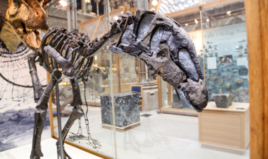 Eustreptospondylus