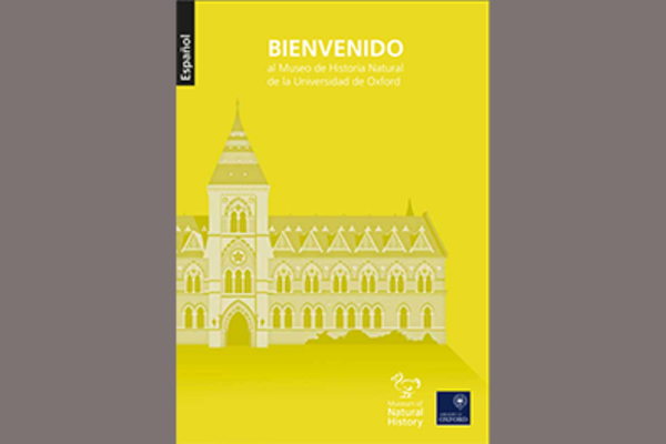 espanol2