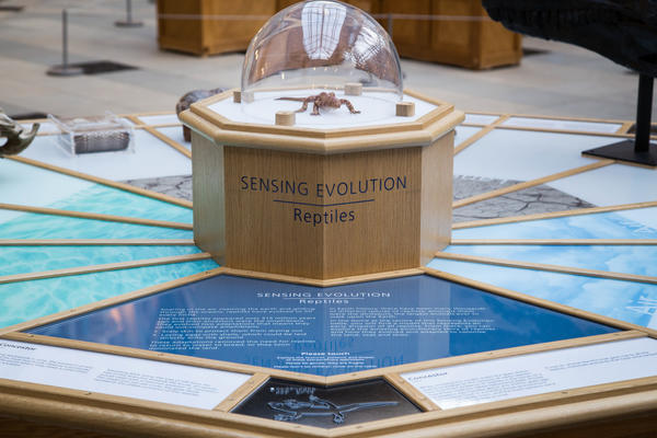 Touchable displays Touchable displays