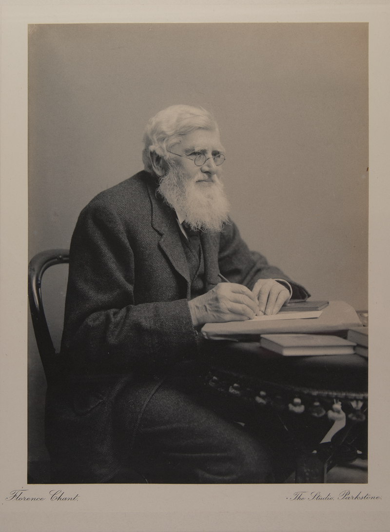 wallace pictureinoum